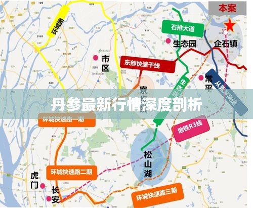 丹参最新行情深度剖析