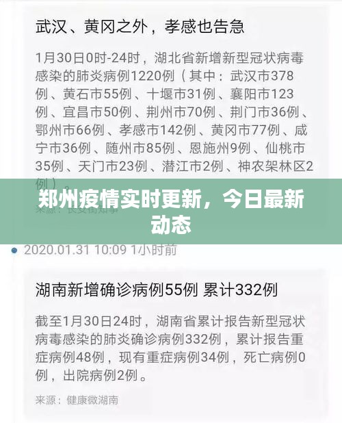 郑州疫情实时更新,今日最新动态