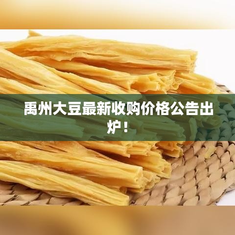禹州大豆最新收购价格公告出炉!