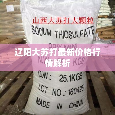 辽阳大苏打最新价格行情解析