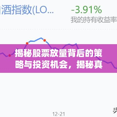揭秘股票放量背后的策略与投资机会，揭秘真相，不容错过！