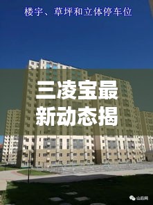 三凌宝最新动态揭秘，今日消息一网打尽！