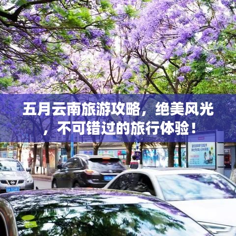 五月云南旅游攻略，绝美风光，不可错过的旅行体验！