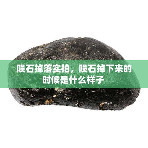 腾龙换鸟 第2页