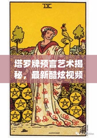 塔罗牌预言艺术揭秘，最新酷炫视频大全探索