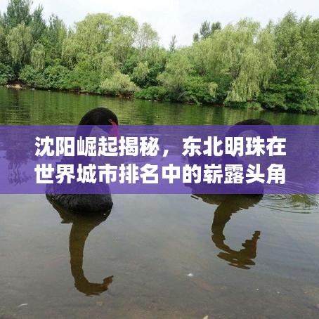 沈阳崛起揭秘，东北明珠在世界城市排名中的崭露头角