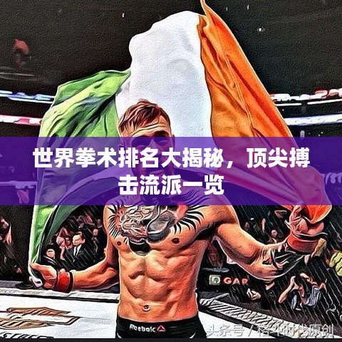 世界拳术排名大揭秘，顶尖搏击流派一览