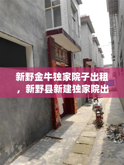 新野金牛独家院子出租,新野县新建独家院出售