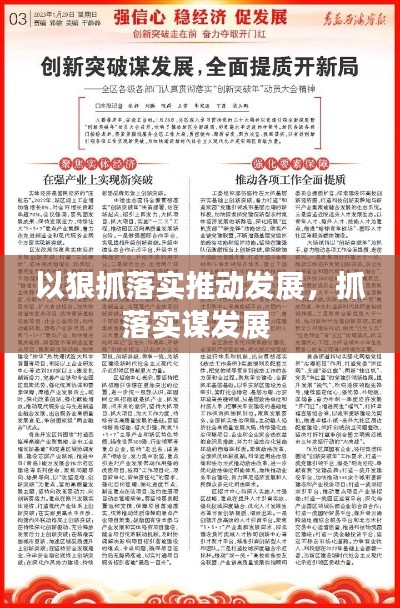 以狠抓落实推动发展，抓落实谋发展 