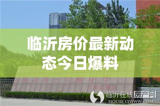 临沂房价最新动态今日爆料