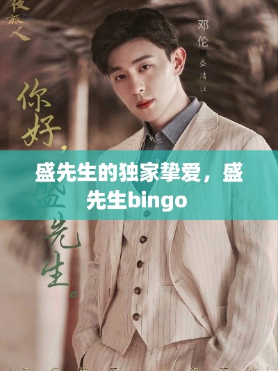 盛先生的独家挚爱，盛先生bingo 