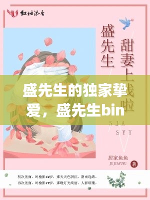 盛先生的独家挚爱,盛先生bingo