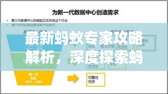 最新蚂蚁专家攻略解析，深度探索蚂蚁生态与高效利用之道