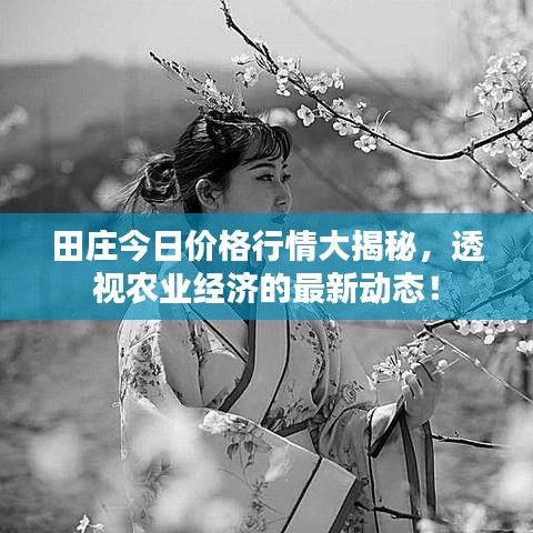 日就月将