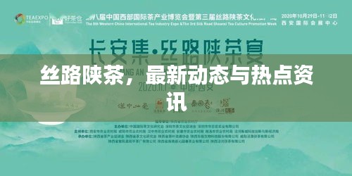 丝路陕茶,最新动态与热点资讯