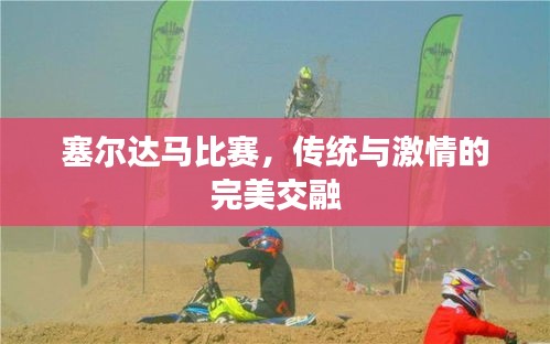 塞尔达马比赛,传统与激情的完美交融
